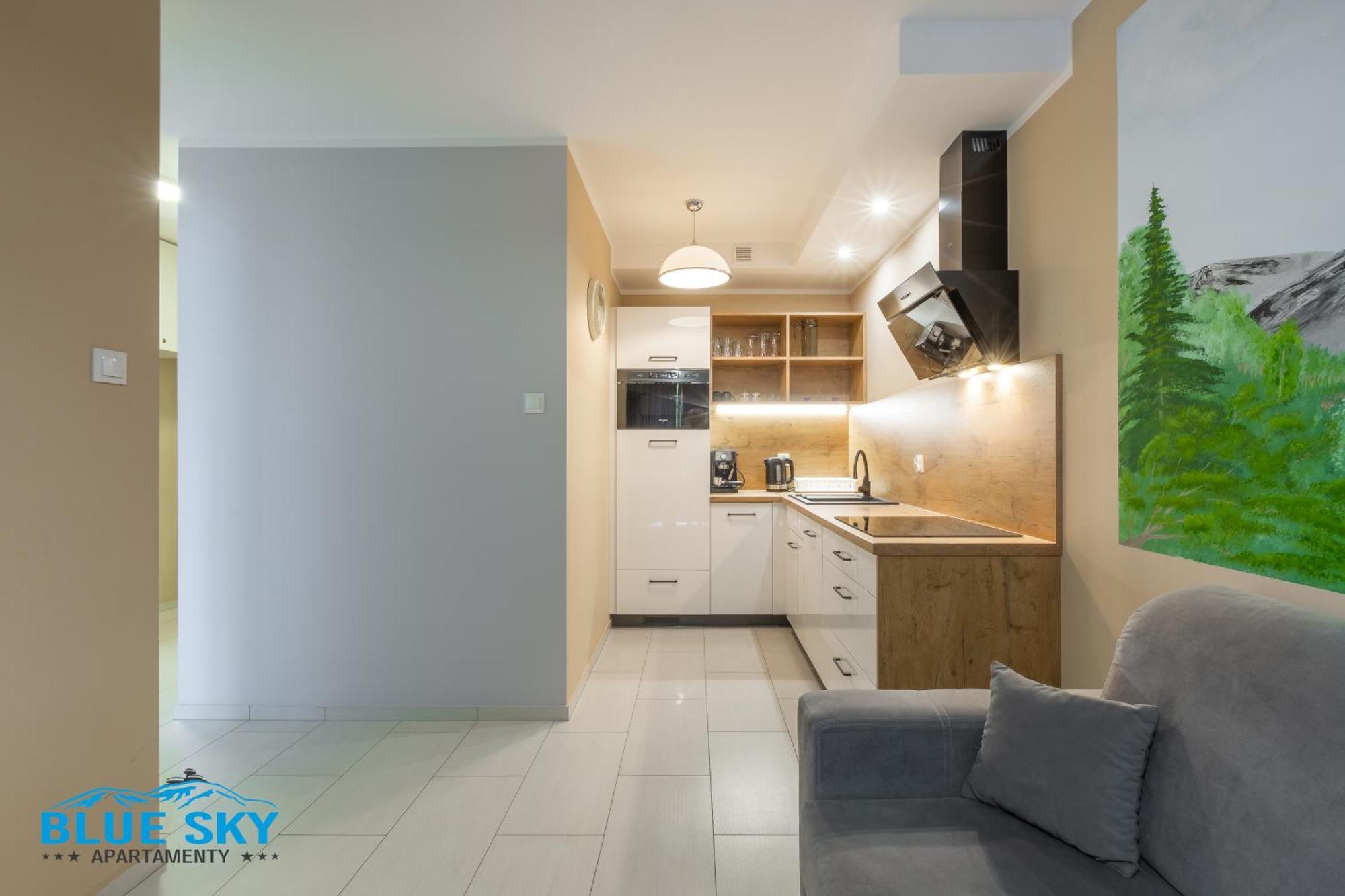 Apartamenty Bluesky - Nad Lomnica 14 - Centrum Karpacza, Blisko Deptaka Exterior photo